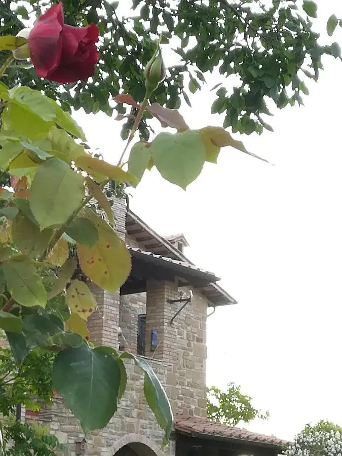필로니코 파테르노 Casale Giuncheto 빌라 팜스테이 필로니코 파테르노