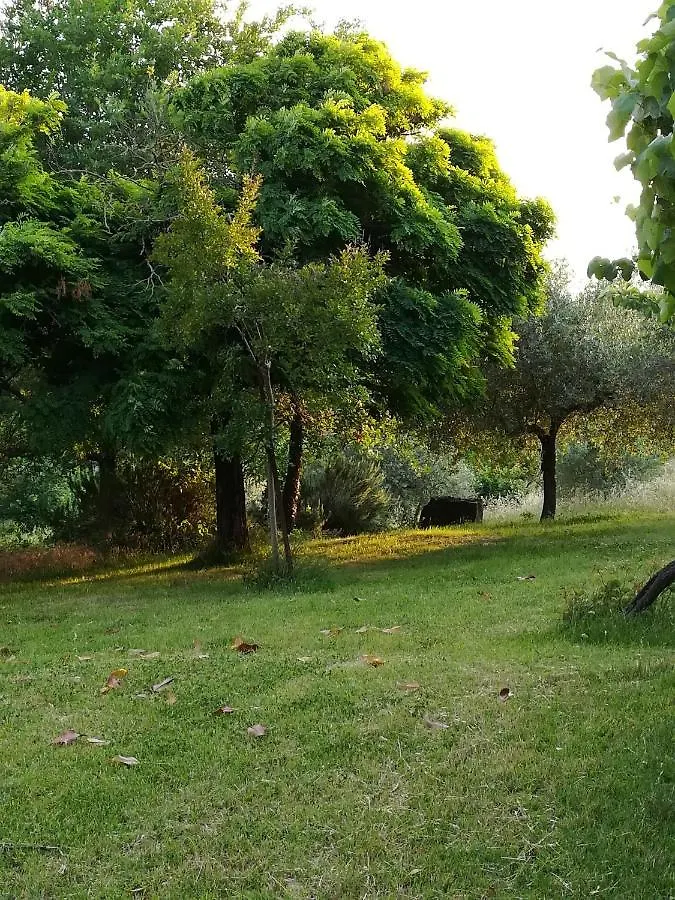 Farm stay Casale Giuncheto Villa Pilonico Paterno Italy